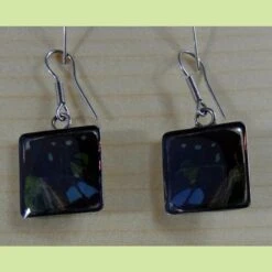 Boucles D'oreille Capsule Papillon Carré - Micotiti